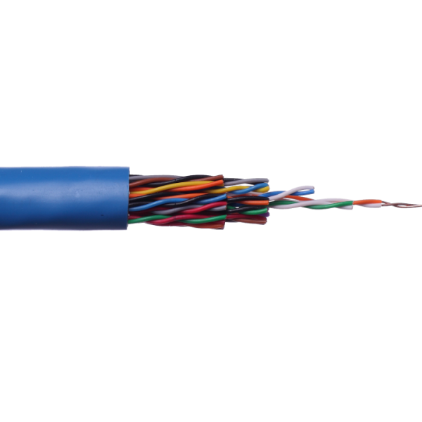 Broadband and Baseband Analog Video, Premise Backbone Cable